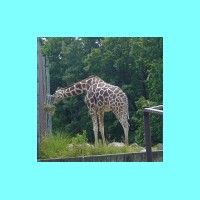 zoo 020.jpg